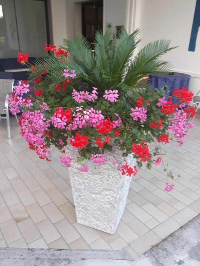 Serenella 3* Lido di Jesolo