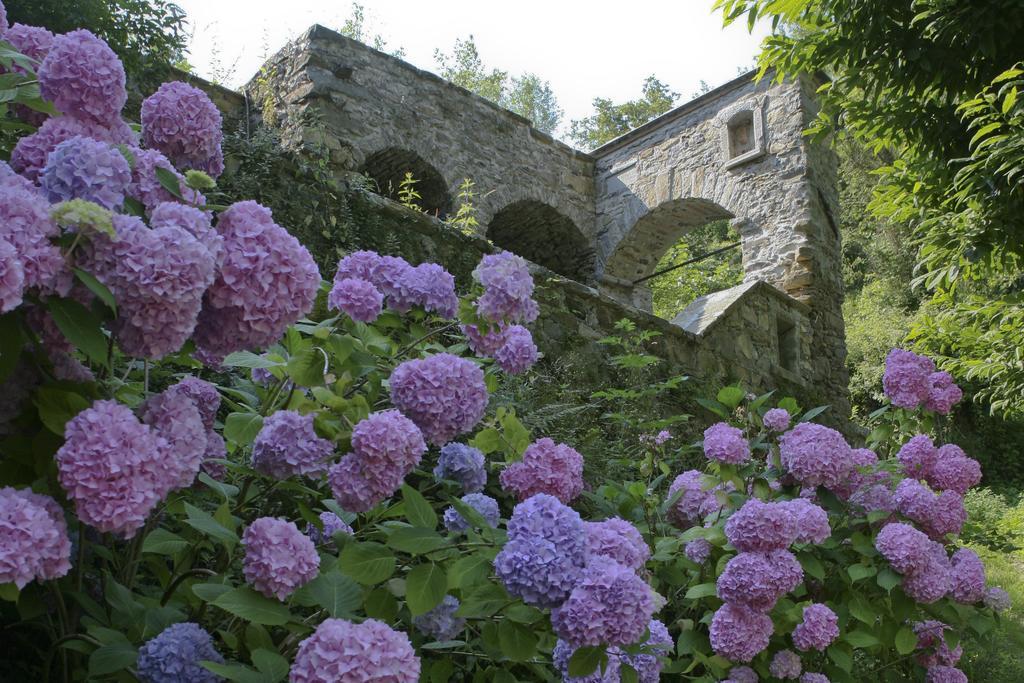 Serenella 3* Lido di Jesolo