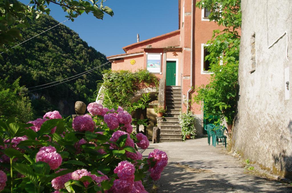 Serenella Hotel Lido di Jesolo