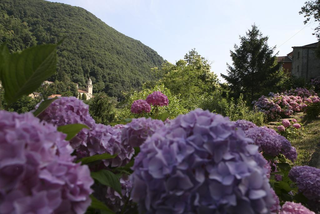 Hotel Serenella Lido di Jesolo
