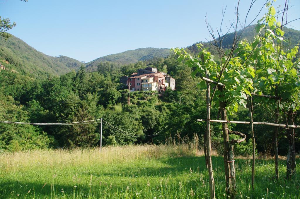 Serenella
